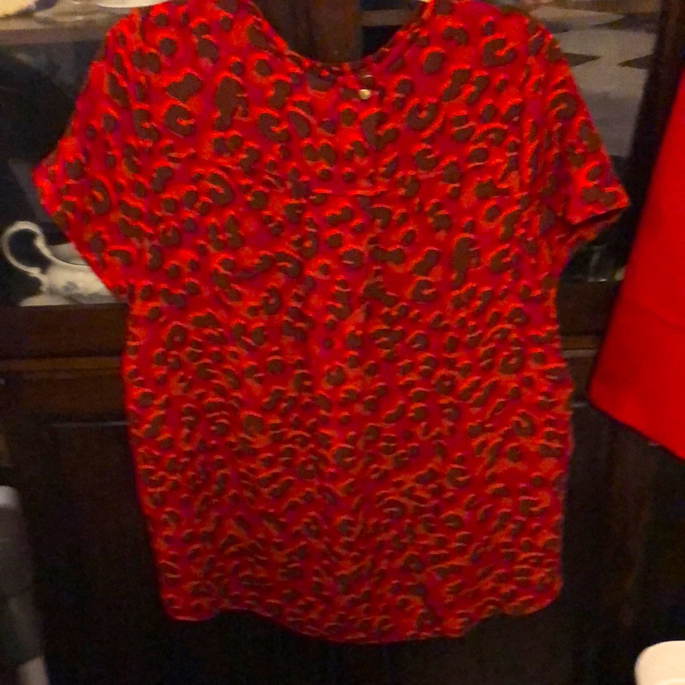 A leopard top